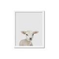 Picture of Baby Lamb _GroupedProduct_Rectangle_Portrait_Mini_ _GroupedProduct_Rectangle_Portrait_Framed_Matted_