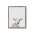 Picture of Baby Lamb _GroupedProduct_Rectangle_Portrait_Mini_ _GroupedProduct_Rectangle_Portrait_Framed_Matted_
