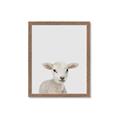 Picture of Baby Lamb _GroupedProduct_Rectangle_Portrait_Mini_ _GroupedProduct_Rectangle_Portrait_Framed_Matted_