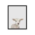 Picture of Baby Lamb _GroupedProduct_Rectangle_Portrait_Mini_ _GroupedProduct_Rectangle_Portrait_Framed_Matted_