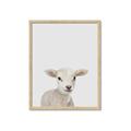 Picture of Baby Lamb _GroupedProduct_Rectangle_Portrait_Mini_ _GroupedProduct_Rectangle_Portrait_Framed_Matted_