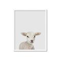 Picture of Baby Lamb _GroupedProduct_Rectangle_Portrait_Mini_ _GroupedProduct_Rectangle_Portrait_Framed_Matted_