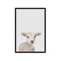 Picture of Baby Lamb _GroupedProduct_Rectangle_Portrait_Mini_ _GroupedProduct_Rectangle_Portrait_Framed_Matted_