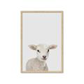Picture of Baby Lamb _GroupedProduct_Rectangle_Portrait_Mini_ _GroupedProduct_Rectangle_Portrait_Framed_Matted_