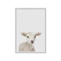 Picture of Baby Lamb _GroupedProduct_Rectangle_Portrait_Mini_ _GroupedProduct_Rectangle_Portrait_Framed_Matted_