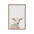 Picture of Baby Lamb _GroupedProduct_Rectangle_Portrait_Mini_ _GroupedProduct_Rectangle_Portrait_Framed_Matted_