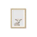 Picture of Baby Lamb _GroupedProduct_Rectangle_Portrait_Mini_ _GroupedProduct_Rectangle_Portrait_Framed_Matted_
