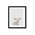 Picture of Baby Lamb _GroupedProduct_Rectangle_Portrait_Mini_ _GroupedProduct_Rectangle_Portrait_Framed_Matted_