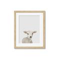 Picture of Baby Lamb _GroupedProduct_Rectangle_Portrait_Mini_ _GroupedProduct_Rectangle_Portrait_Framed_Matted_