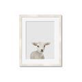 Picture of Baby Lamb _GroupedProduct_Rectangle_Portrait_Mini_ _GroupedProduct_Rectangle_Portrait_Framed_Matted_