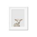 Picture of Baby Lamb _GroupedProduct_Rectangle_Portrait_Mini_ _GroupedProduct_Rectangle_Portrait_Framed_Matted_