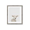 Picture of Baby Lamb _GroupedProduct_Rectangle_Portrait_Mini_ _GroupedProduct_Rectangle_Portrait_Framed_Matted_