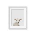 Picture of Baby Lamb _GroupedProduct_Rectangle_Portrait_Mini_ _GroupedProduct_Rectangle_Portrait_Framed_Matted_