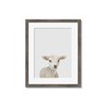 Picture of Baby Lamb _GroupedProduct_Rectangle_Portrait_Mini_ _GroupedProduct_Rectangle_Portrait_Framed_Matted_