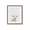 Picture of Baby Lamb _GroupedProduct_Rectangle_Portrait_Mini_ _GroupedProduct_Rectangle_Portrait_Framed_Matted_