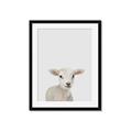 Picture of Baby Lamb _GroupedProduct_Rectangle_Portrait_Mini_ _GroupedProduct_Rectangle_Portrait_Framed_Matted_