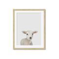 Picture of Baby Lamb _GroupedProduct_Rectangle_Portrait_Mini_ _GroupedProduct_Rectangle_Portrait_Framed_Matted_