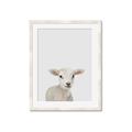Picture of Baby Lamb _GroupedProduct_Rectangle_Portrait_Mini_ _GroupedProduct_Rectangle_Portrait_Framed_Matted_