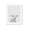 Picture of Baby Lamb _GroupedProduct_Rectangle_Portrait_Mini_ _GroupedProduct_Rectangle_Portrait_Framed_Matted_