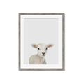 Picture of Baby Lamb _GroupedProduct_Rectangle_Portrait_Mini_ _GroupedProduct_Rectangle_Portrait_Framed_Matted_