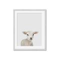 Picture of Baby Lamb _GroupedProduct_Rectangle_Portrait_Mini_ _GroupedProduct_Rectangle_Portrait_Framed_Matted_