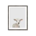 Picture of Baby Lamb _GroupedProduct_Rectangle_Portrait_Mini_ _GroupedProduct_Rectangle_Portrait_Framed_Matted_