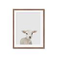 Picture of Baby Lamb _GroupedProduct_Rectangle_Portrait_Mini_ _GroupedProduct_Rectangle_Portrait_Framed_Matted_