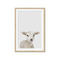Picture of Baby Lamb _GroupedProduct_Rectangle_Portrait_Mini_ _GroupedProduct_Rectangle_Portrait_Framed_Matted_