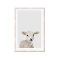 Picture of Baby Lamb _GroupedProduct_Rectangle_Portrait_Mini_ _GroupedProduct_Rectangle_Portrait_Framed_Matted_