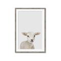Picture of Baby Lamb _GroupedProduct_Rectangle_Portrait_Mini_ _GroupedProduct_Rectangle_Portrait_Framed_Matted_