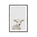 Picture of Baby Lamb _GroupedProduct_Rectangle_Portrait_Mini_ _GroupedProduct_Rectangle_Portrait_Framed_Matted_