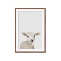 Picture of Baby Lamb _GroupedProduct_Rectangle_Portrait_Mini_ _GroupedProduct_Rectangle_Portrait_Framed_Matted_