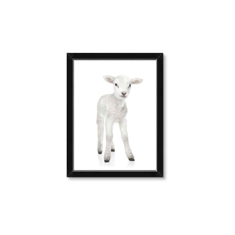 Picture of In Front Lamb _GroupedProduct_Rectangle_Portrait_Mini_ _GroupedProduct_Rectangle_Portrait_Framed_Matted_