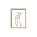 Picture of In Front Lamb _GroupedProduct_Rectangle_Portrait_Mini_ _GroupedProduct_Rectangle_Portrait_Framed_Matted_
