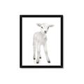 Picture of In Front Lamb _GroupedProduct_Rectangle_Portrait_Mini_ _GroupedProduct_Rectangle_Portrait_Framed_Matted_