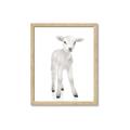 Picture of In Front Lamb _GroupedProduct_Rectangle_Portrait_Mini_ _GroupedProduct_Rectangle_Portrait_Framed_Matted_
