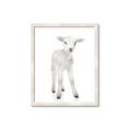 Picture of In Front Lamb _GroupedProduct_Rectangle_Portrait_Mini_ _GroupedProduct_Rectangle_Portrait_Framed_Matted_