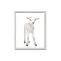 Picture of In Front Lamb _GroupedProduct_Rectangle_Portrait_Mini_ _GroupedProduct_Rectangle_Portrait_Framed_Matted_