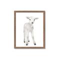 Picture of In Front Lamb _GroupedProduct_Rectangle_Portrait_Mini_ _GroupedProduct_Rectangle_Portrait_Framed_Matted_