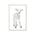 Picture of In Front Lamb _GroupedProduct_Rectangle_Portrait_Mini_ _GroupedProduct_Rectangle_Portrait_Framed_Matted_