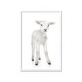 Picture of In Front Lamb _GroupedProduct_Rectangle_Portrait_Mini_ _GroupedProduct_Rectangle_Portrait_Framed_Matted_