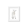 Picture of In Front Lamb _GroupedProduct_Rectangle_Portrait_Mini_ _GroupedProduct_Rectangle_Portrait_Framed_Matted_