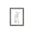 Picture of In Front Lamb _GroupedProduct_Rectangle_Portrait_Mini_ _GroupedProduct_Rectangle_Portrait_Framed_Matted_