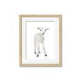 Picture of In Front Lamb _GroupedProduct_Rectangle_Portrait_Mini_ _GroupedProduct_Rectangle_Portrait_Framed_Matted_
