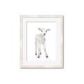 Picture of In Front Lamb _GroupedProduct_Rectangle_Portrait_Mini_ _GroupedProduct_Rectangle_Portrait_Framed_Matted_