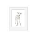 Picture of In Front Lamb _GroupedProduct_Rectangle_Portrait_Mini_ _GroupedProduct_Rectangle_Portrait_Framed_Matted_
