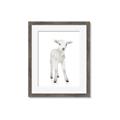 Picture of In Front Lamb _GroupedProduct_Rectangle_Portrait_Mini_ _GroupedProduct_Rectangle_Portrait_Framed_Matted_