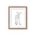 Picture of In Front Lamb _GroupedProduct_Rectangle_Portrait_Mini_ _GroupedProduct_Rectangle_Portrait_Framed_Matted_