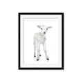 Picture of In Front Lamb _GroupedProduct_Rectangle_Portrait_Mini_ _GroupedProduct_Rectangle_Portrait_Framed_Matted_