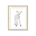 Picture of In Front Lamb _GroupedProduct_Rectangle_Portrait_Mini_ _GroupedProduct_Rectangle_Portrait_Framed_Matted_